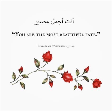 Pin on Arabic Quotes