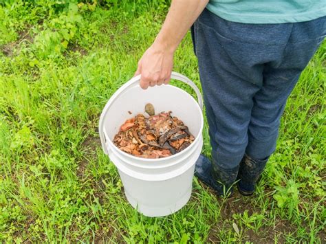 DIY 5 Gallon Bucket Compost Bin