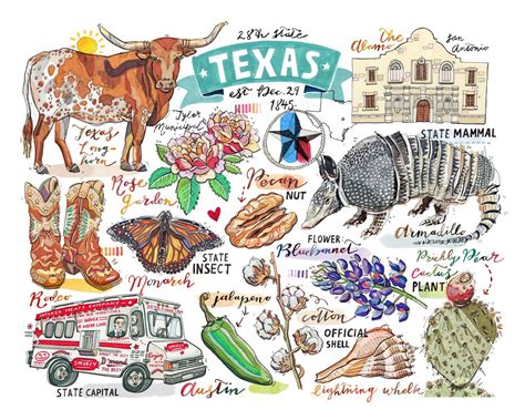 Texas Print illustration state symbols the Lone Star by LouPaper