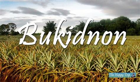 BUKIDNON TOURIST SPOTS + Travel Guide, Resorts, Hotels