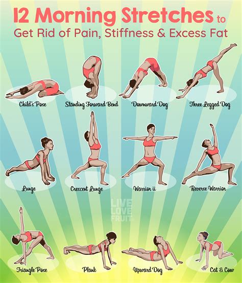 12 Morning Stretches to Help You Get Rid of Pain, Stiffness and Excess ...