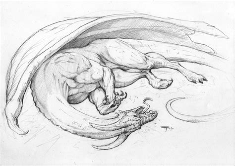 Pin by Katherine Schenaker on Gifts of Asgard | Dragon sketch, Dragon drawing, Animal drawing ...