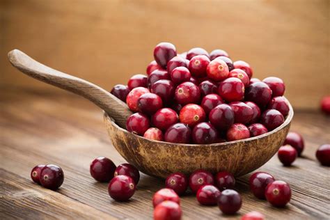 Cranberry | Plant, Fruit, Description, Cultivation, Facts, & Species ...