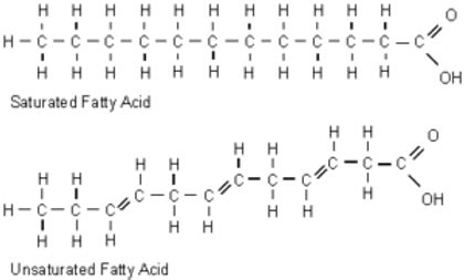 Trans Fats – Simplified