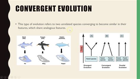 Evolutionary Biology