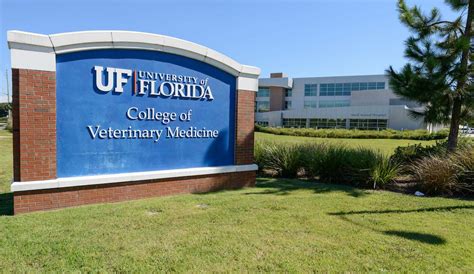 UF College of Veterinary Medicine family stands against racism and ...