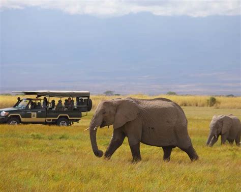 Tortilis Camp Amboseli | Rates & Prices | Safari Travel Plus