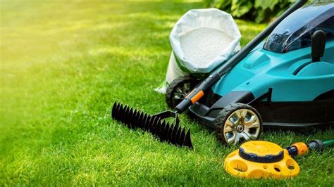 Lawn Care vs Landscaping: What’s the Difference?