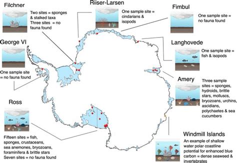 Map of the extensive Antarctic ice-shelves and our current knowledge of ...