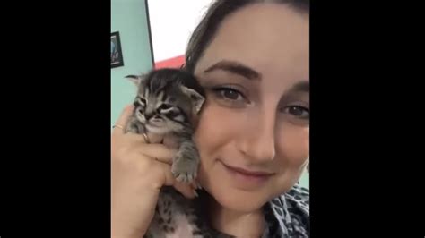 Cute little kitten has a lot to ‘say’ when pet mom holds it. Watch ...