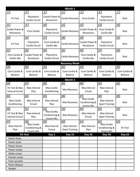 Insanity Workout Schedule - 10 Free PDF Printables | Printablee