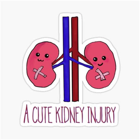 "A cute kidney injury " Sticker for Sale by Tamm-art | Redbubble