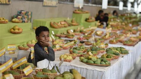 Photos| Mango Festival 2018: Growers showcase over 500 varieties in Delhi | Hindustan Times