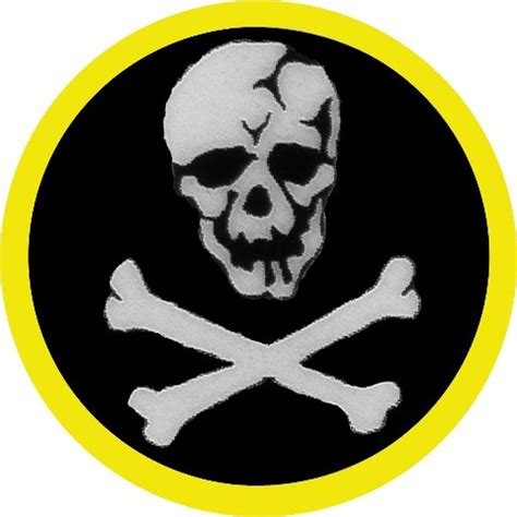 Skull Squadron | Robotech Saga Wiki | FANDOM powered by Wikia