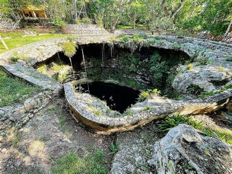 Cenote Saamal – Cenotes Of Mexico