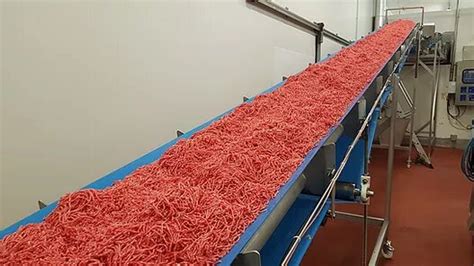 Food Conveyor Belts - Food Processing Conveyor Belts | DH Supplies