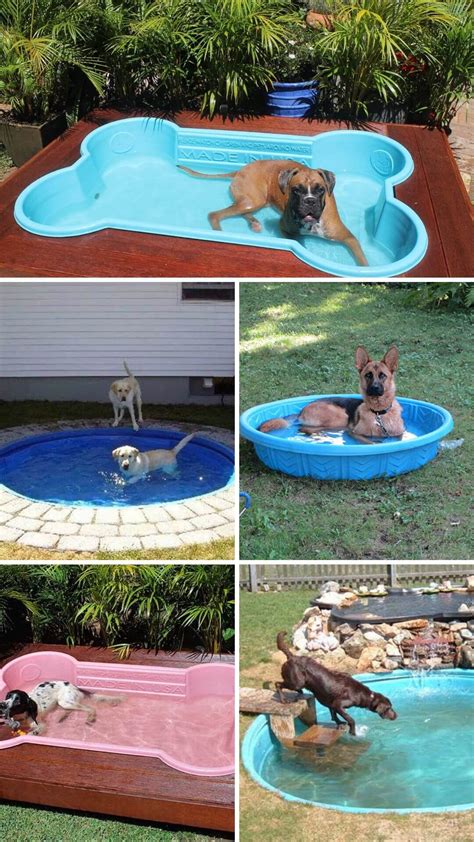 15 Backyard Landscaping Ideas That Will Give Your Dogs Happy Barks