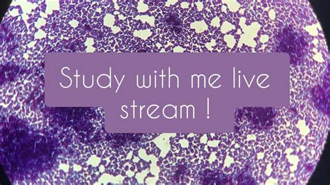 Study with me live stream ! - YouTube