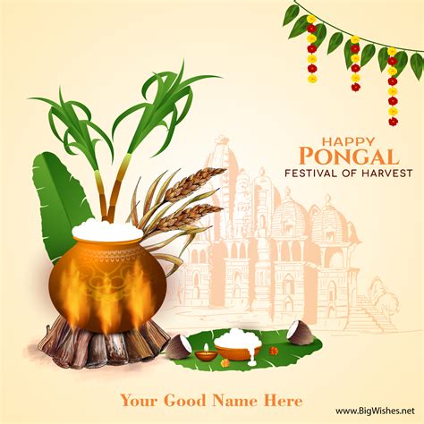 Happy Pongal 2024 Wallpapers - Wallpaper Cave