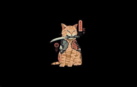 Cat Samurai Wallpapers - Top Free Cat Samurai Backgrounds - WallpaperAccess