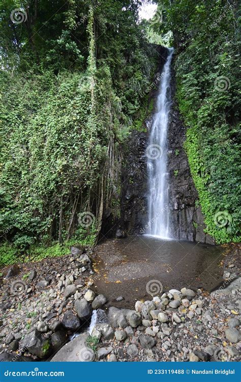 Dark View Falls, St. Vincent Stock Photo - Image of tree, ravine: 233119488