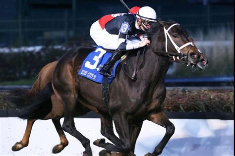 Hong Kong readies for big races in weekend horse racing - UPI.com