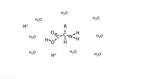 Phosphate Buffer System Equation