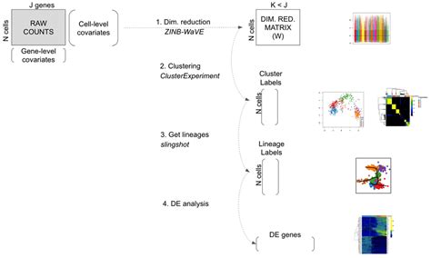 Bioconductor workflow for single-cell RNA sequencing: Normalization, dimensionality reduction ...