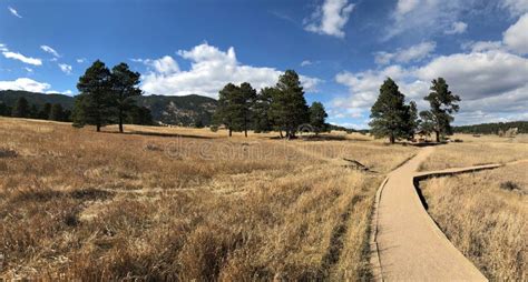 Evergreen Colorado stock photo. Image of meadow, hiking - 143854536