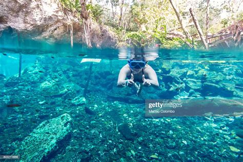 Woman Snorkeling In A Cenote Mexico High-Res Stock Photo - Getty Images