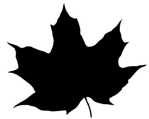 Leaf Silhouette Free Stock Photo - Public Domain Pictures