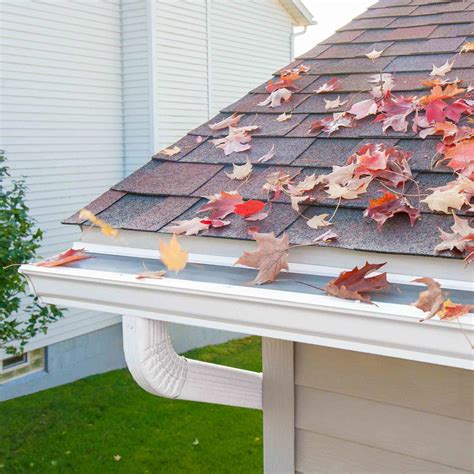 Leaf Filter Gutter Guards Review - Must Read This Before Buying