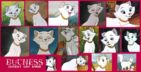 Duchess From Aristocats Collage by Scamp4553 on DeviantArt