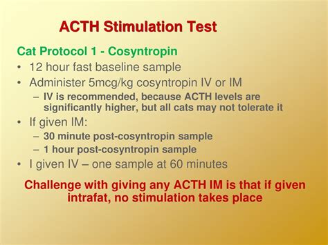 What Is An Acth Stimulation Test For Dogs