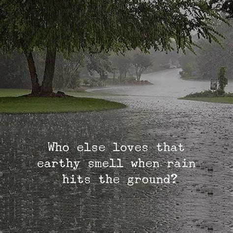 Who else loves that, earthy smell when rain hits the ground? - Phrases