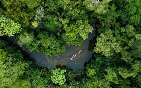 Mejor época para viajar al Amazonas en Perú - Trip to Help