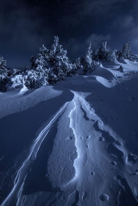 seeing snow in the moonlight #WinterWonders | Winter scenery, Winter ...