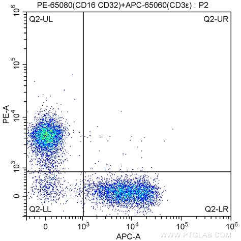 CD16 / CD32 antibody (PE-65080) | Proteintech