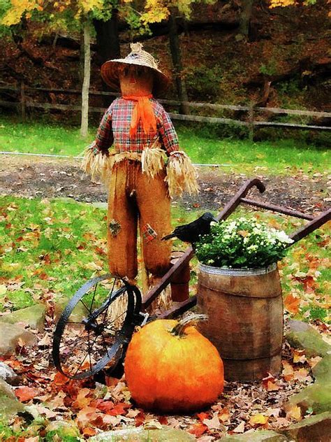 Scarecrow And Pumpkin Photograph By Susan Savad | Fall outdoor decor ...