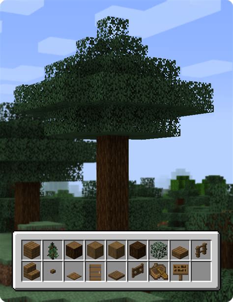 Spruce Tree Minecraft