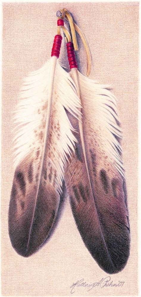 Indian Eagle Feathers