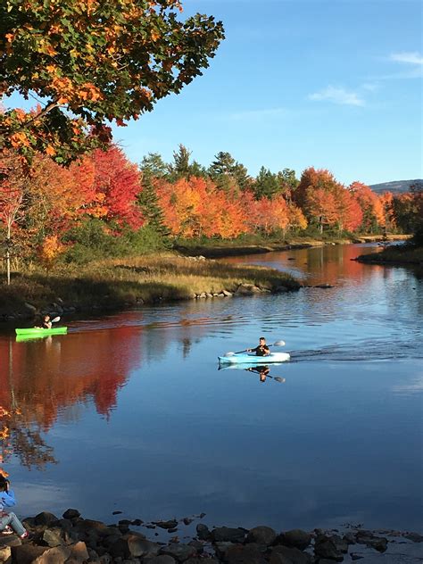 A Guide to the 7 Best Foliage Photo Spots in Bar Harbor - Blog - Bar ...