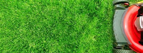 Lawn Mowing Tips | Senske Services