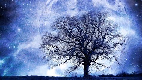 Download Tree Fantasy Nature Moon HD Wallpaper