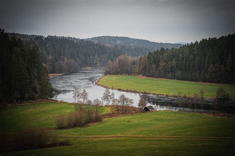 Bavarian Forest Hiking - Free photo on Pixabay - Pixabay