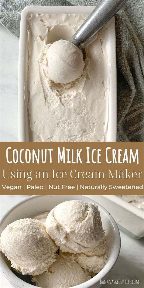 Coconut milk ice cream recipe – Artofit