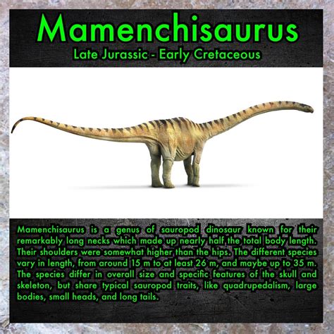 Mamenchisaurus : r/Dinosaurs