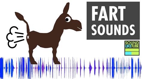 Fart Sounds Collection | Royalty Free Farting Sound Effects - YouTube