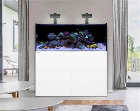 Waterbox Aquariums REEF | Lazada