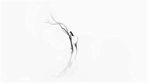 Black and White Minimalist Laptop Wallpapers - Top Free Black and White Minimalist Laptop ...